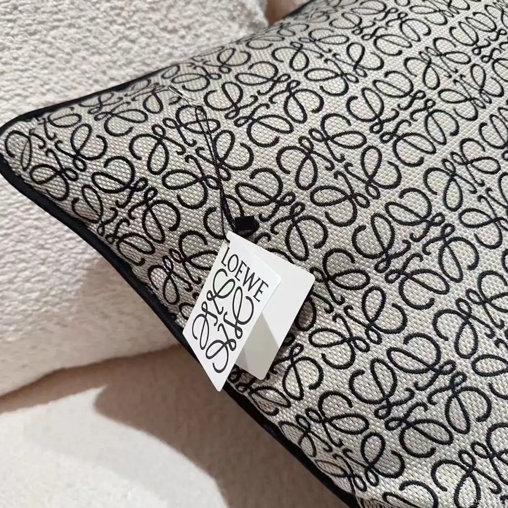 LOEWE PILLOW THROW 0503